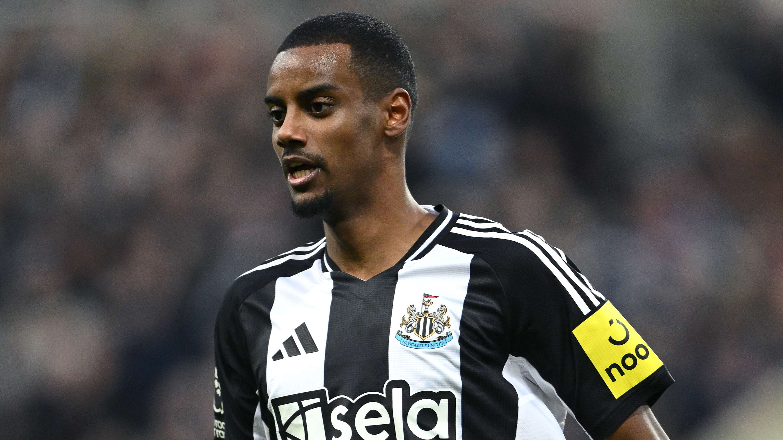 汇聚了无数 汇聚了无数